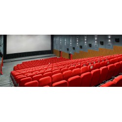 Electric screens Euroscreen Odin: 6 - 7.5m